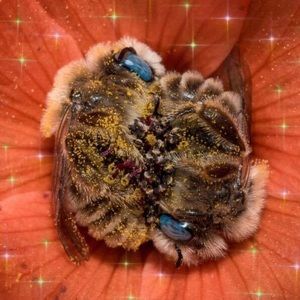 Meet your Posher, Jenifer